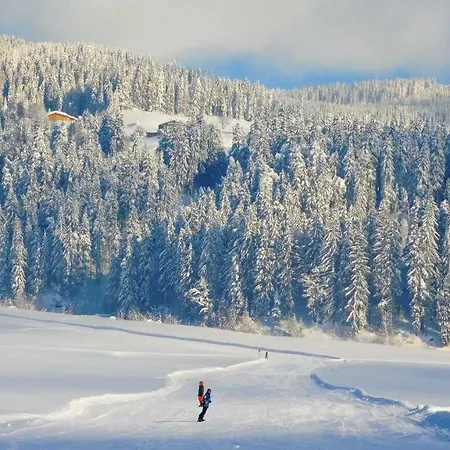 Vital & Brixen מלון 4*